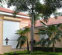 Hurricane Impact Windows